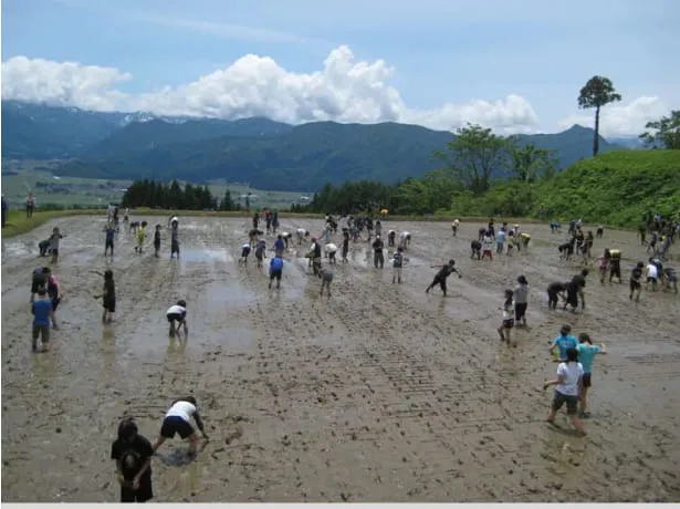 田舎体験 背景画像